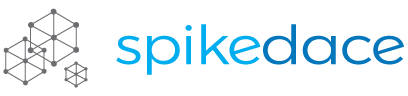 Spikedace Infotech Pvt Ltd